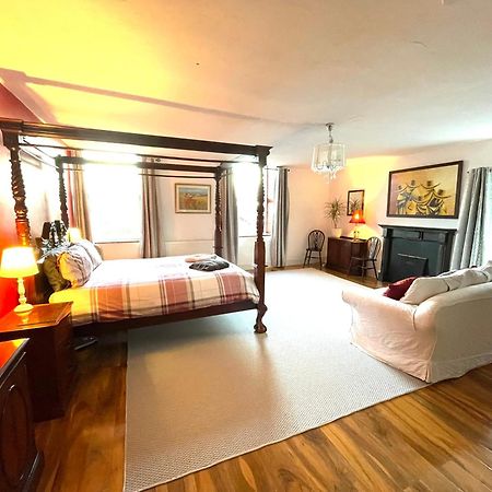 Spacious Garden Flat In Snowdonia National Park Brynkir Екстер'єр фото